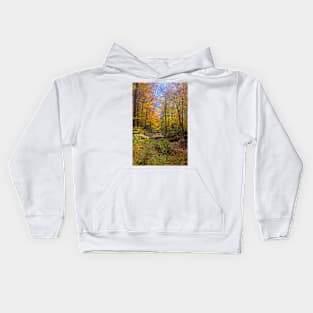 Autumn in the Woodland Kids Hoodie